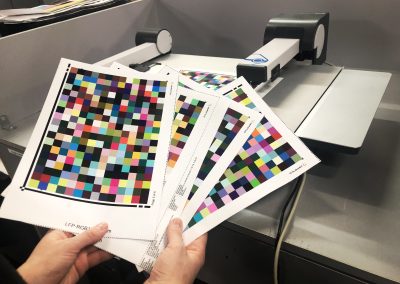 POLCART IBERIA S.L. – Spain